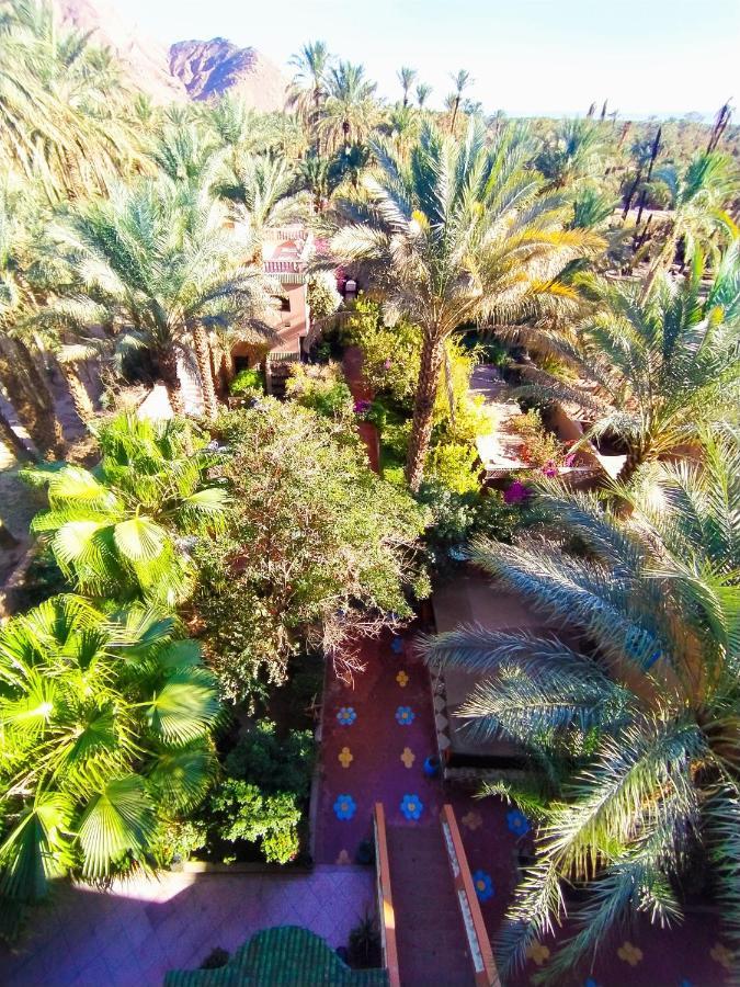 Chez Ali Hotel Zagora Exterior photo