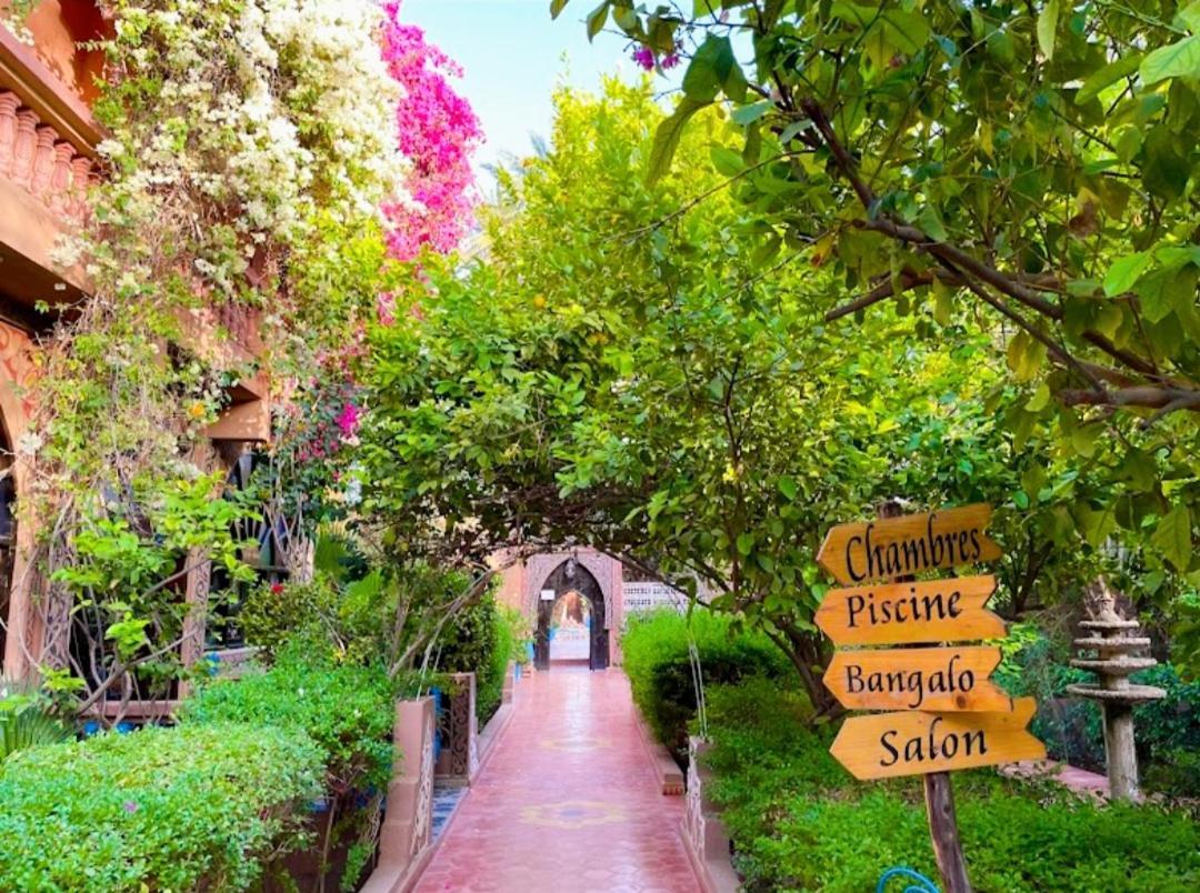 Chez Ali Hotel Zagora Exterior photo